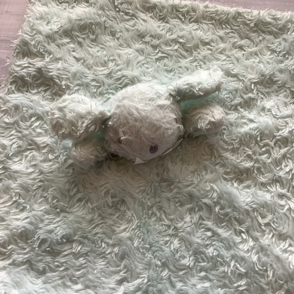 Blankets & Beyond‎ Mint Green Bunny Rabbit Lovey Security Baby Rosettes
